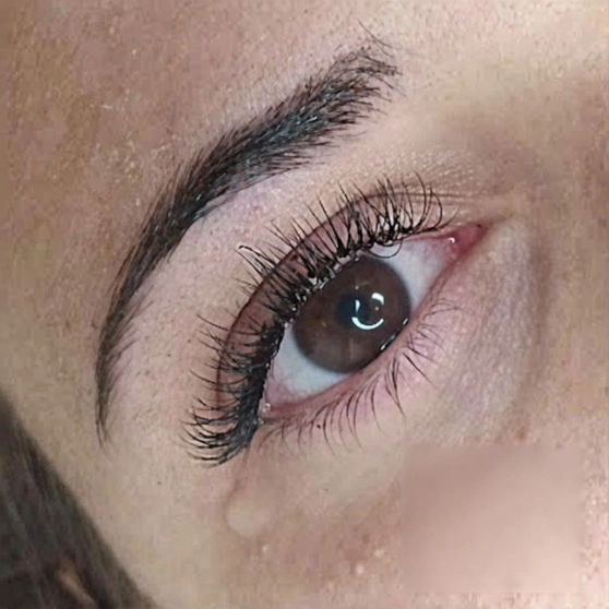 Extension professionale